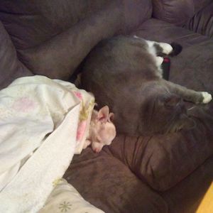 Meet your Posher, Loretta